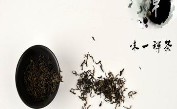 禅的故事读后感最新5篇