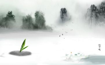 禅与狐狸的读后感精选7篇