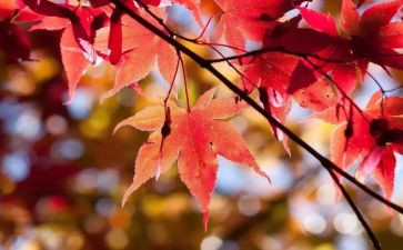 10月一活动总结5篇
