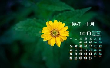 l幼儿园中班10月份工作总结8篇