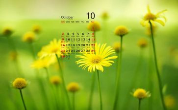 中班10月份工作总结6篇