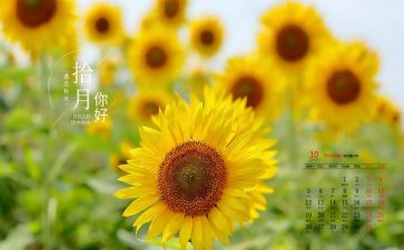 幼儿园10月总结7篇