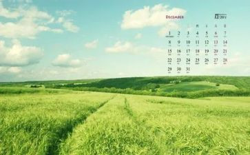 幼儿园12月教学总结7篇