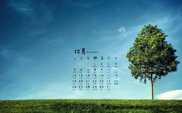 12月份幼儿园月总结5篇