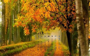 珠宝销售12月总结6篇