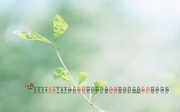 幼儿园大大班12月份月计划7篇