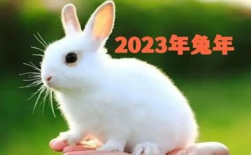 2023赶庙会活动方案5篇