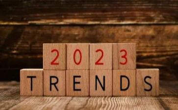 2023审计科个人总结推荐7篇