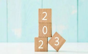 2023后备培训总结8篇