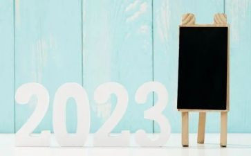 2023教师汇报课总结优质8篇