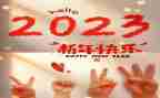2023我的作文参考6篇