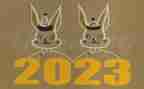 2023教师暑期培训心得体会模板6篇