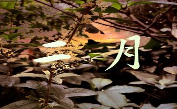 2月份生产安全工作总结8篇