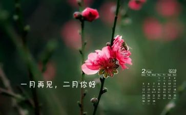 2月安全总结8篇