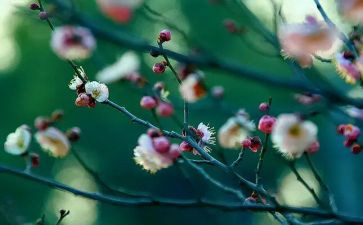 2月教育活动总结7篇