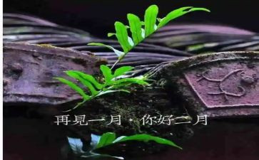 幼儿园12月园务工作总结5篇
