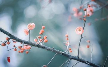 2月份幼儿园小班月总结6篇