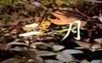 2月份生产安全工作总结8篇