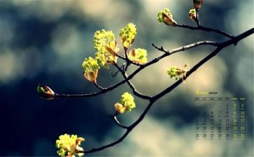 3月份工作个人总结8篇
