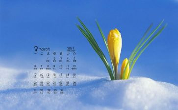 3月份个人总结8篇