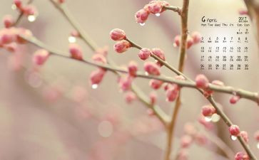 幼儿大班4月份工作总结7篇