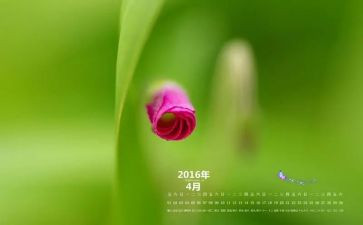 4月社区活动总结6篇