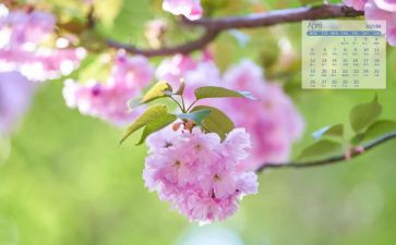 幼儿小班4月份工作总结8篇