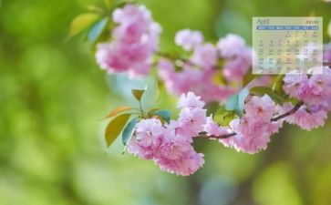 幼儿园教学4月总结5篇