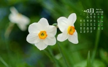 幼儿园小4月工作总结8篇