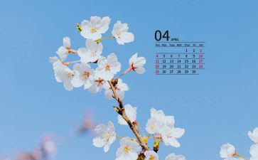 4月25活动总结7篇