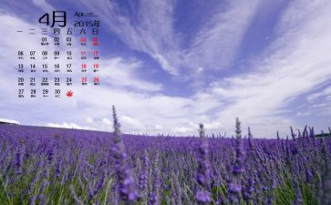 财务4月度工作总结8篇