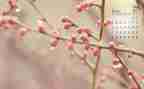 4月7日活动总结8篇