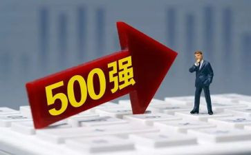 500强企业工作总结6篇