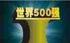 500强企业工作总结精选8篇