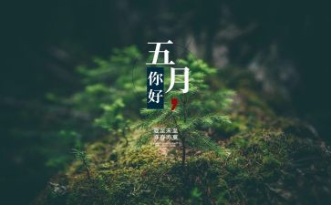 学校安全5月总结8篇