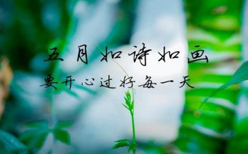 幼儿园安全5月总结5篇