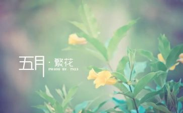 幼儿园教师5月总结8篇