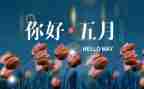 2023年5月安全总结优质5篇