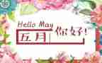 2023年5月安全总结模板6篇