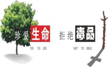 社区626工作总结参考5篇