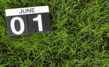 幼儿园6月工作总结总结7篇