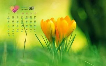 6月安全生产月宣传活动总结6篇