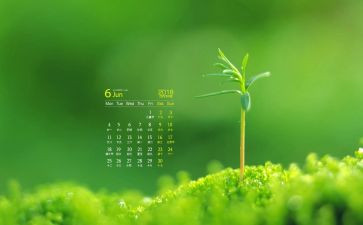 幼儿园6月大班工作总结7篇
