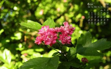 6月学雷锋活动总结6篇