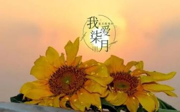 幼儿园7月份月工作总结7篇