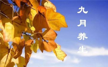 幼儿园大班第9月总结6篇