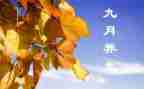 幼儿园大班第9月总结6篇