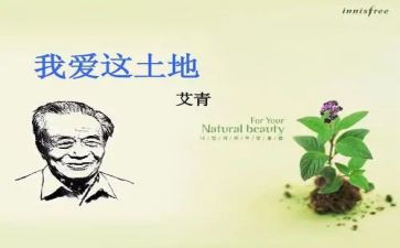 艾青诗选墙读后感优秀5篇