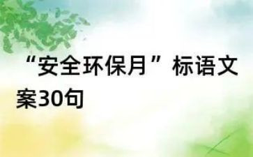 安环保工作总结7篇