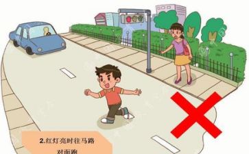 关于安全回活动的总结8篇